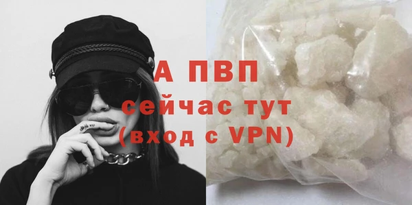 СК Гусь-Хрустальный